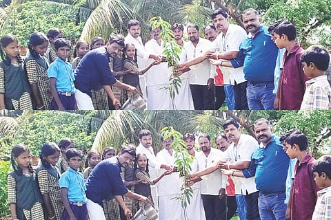 ಬಸರಿಹಾಳದ ಸರ್ಕಾರಿ ಕಿರಿಯ ಪ್ರಾಥಮಿಕ ಶಾಲೆಯಲ್ಲಿ ವಿಶ್ವ ಪರಿಸರ ದಿನ ನಿಮಿತ್ತ ಸಸಿ ನೆಡಲಾಯಿತು. ಮುಖ್ಯಶಿಕ್ಷಕ ಧರ್ಮಣ್ಣ ಲಮಾಣಿ, ಸಹ ಶಿಕ್ಷಕ ಯಮುನೂರಪ್ಪ, ಎಸ್ಡಿಎಂಸಿ ಅಧ್ಯಕ್ಷ ಪರುಶುರಾಮ, ಪ್ರಮುಖರಾದ ನಾಗಪ್ಪ ಗದ್ದಿ, ಉಮೇಶ್, ಮೇಲ್ವಿಚಾರಕ ಎನ್.ಗಂಗಾಧರಪ್ಪ ಹಾಗೂ ವಿದ್ಯಾರ್ಥಿಗಳಿದ್ದರು.