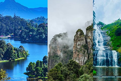 Free entry Kodaikanal forest sites till May 31