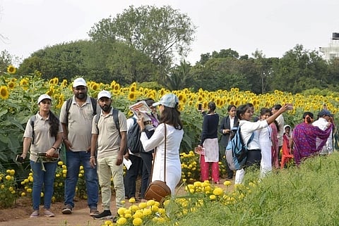 agricultural-fair