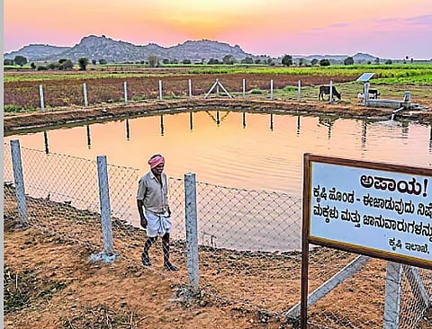 Wire fencing mandatory for agricultural ponds