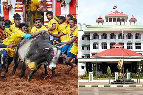 ಜಲ್ಲಿಕಟ್ಟು, ಮದ್ರಾಸ್​ ಹೈಕೋರ್ಟ್​ ಮಧುರೈ ಪೀಠ