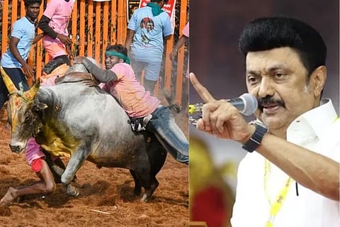 ತಮಿಳುನಾಡು ಮುಖ್ಯಮಂತ್ರಿ ಎಂ.ಕೆ.ಸ್ಟಾಲಿನ್​, ಜಲ್ಲಿಕಟ್ಟು