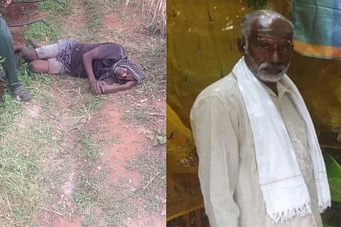 ಚಾಮರಾಜನಗರದಲ್ಲಿ ಕಾಡಾನೆ ಮತ್ತು ಹುಲಿ ದಾಳಿಗೆ ಇಬ್ಬರು ರೈತರು ಬಲಿ