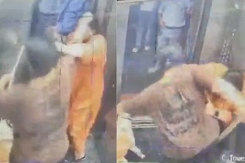 ಗಾಜಿಯಾಬಾದ್‌ನಲ್ಲಿ ಲಿಫ್ಟ್‌ ನಡುವೆ ಸಾಕು ನಾಯಿಗಳ ಜಗಳ: ಶಿಕ್ಷಕನಿಗೆ ಕಪಾಳಮೋಕ್ಷ ಮಾಡಿದ ಮಹಿಳೆ