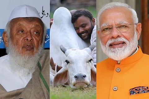 ಹಸುವನ್ನು ರಾಷ್ಟ್ರೀಯ ಪ್ರಾಣಿಯನ್ನಾಗಿ ಘೋಷಿಸುವಂತೆ ಮನವಿ
