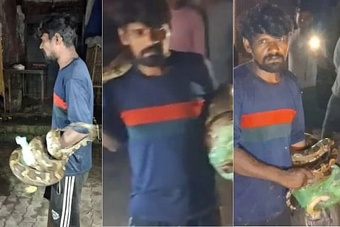 ಕುಡಿತದ ಅಮಲಿನಲ್ಲಿದ್ದ ವ್ಯಕ್ತಿಯಿಂದ 15 ಅಡಿ ಉದ್ದದ ಹೆಬ್ಬಾವಿನೊಂದಿಗೆ ಬರಿಗೈಯಲ್ಲಿ ಸಾಹಸ