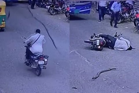 ಒಣಗಿದ ಮರದ ಕೊಂಬೆ ಬಿದ್ದು ಕೋಮಾ ಸೇರಿದ ಬೈಕ್ ಸವಾರ