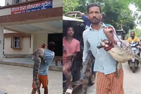 ಮೊಸಳೆಯನ್ನು ಹೆಗಲ ಮೇಲೆ ಹೊತ್ತು ಪೊಲೀಸ್ ಠಾಣೆಗೆ ಬಂದ ರೈತ