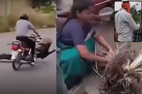 ರಕ್ತದ ಮಡುವಿನಲ್ಲಿ ಬಿದ್ದ ನವಿಲಿನ ಪುಕ್ಕ ಕಿತ್ತ ಪುಂಡರು