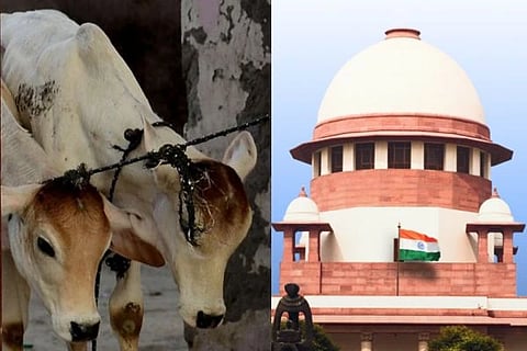 ಬಕ್ರೀದ್ ಗೋಹತ್ಯೆ ನಿಷೇಧ ಕೇಸ್‌ನಲ್ಲಿ ಬಿಗ್ ಟ್ವಿಸ್ಟ್!