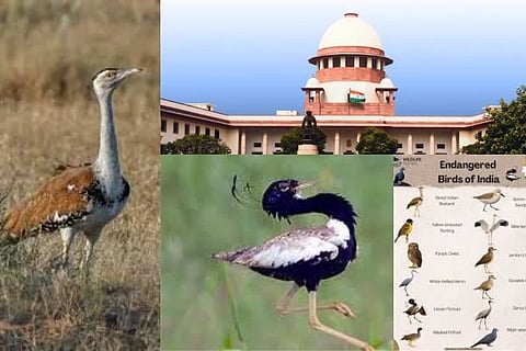 Supreme Court