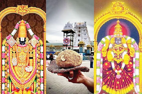 ತಿರುಪತಿ ಲಡ್ಡುಗೆ 311 ವರ್ಷ