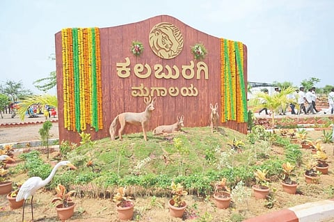 kalaburagi zoo