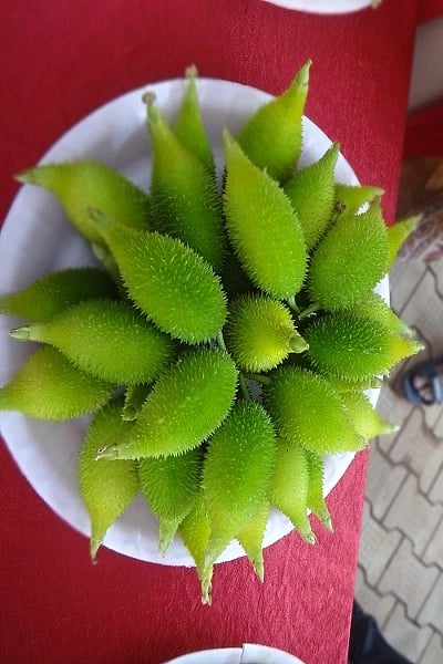 ಮಾಡಹಾಗಲ ಕಾಯಿ