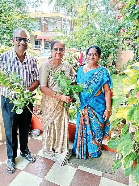  ದಾವಣಗೆರೆಯ ಸಸ್ಯಪ್ರೇಮಿ ಮಮತಾ ನಾಗರಾಜ್ ಸಾರ್ವಜನಿಕರಿಗೆ ಔಷಧೀಯ ಸಸ್ಯಗಳನ್ನು ವಿತರಿಸುತ್ತಿರುವುದು. 