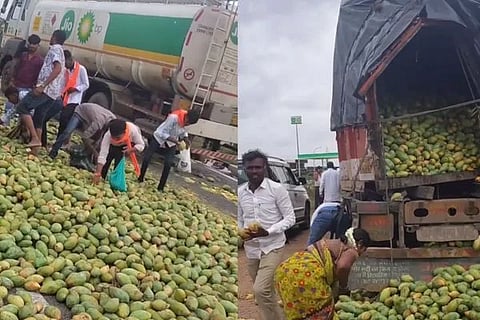 Mango Loot (ಚಿತ್ರ X)