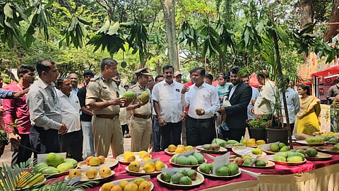  ಬೆಳಗಾವಿ ನಗರದ ಕ್ಲಬ್ ರಸ್ತೆಯಲ್ಲಿರುವ ತೋಟಗಾರಿಕಾ ಇಲಾಖೆಯ ಆವರಣದಲ್ಲಿ ಶುಕ್ರವಾರ ಮಾವು ಪ್ರದರ್ಶನ ಮತ್ತು ಮಾರಾಟ ಮೇಳಕ್ಕೆ ರಾಹುಲ ಶಿಂಧೆ, ಚೇತನಸಿಂಗ್ ರಾಠೋಡ್  ಚಾಲನೆ ನೀಡಿದರು. ವಿನಯ ನಾವಲಗಟ್ಟಿ, ಭೂಷಣ ಬೋರಸೆ ಇತರರಿದ್ದರು.