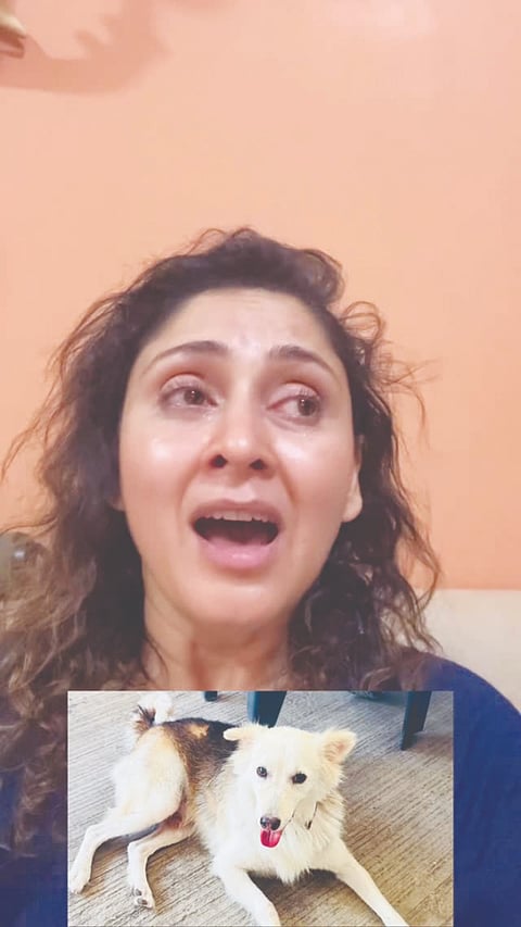ಮಂಜರಿ ಫಡ್ನಿಸ್