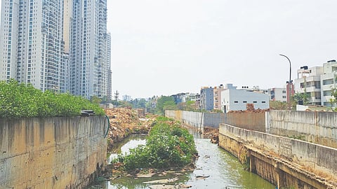 manyatatechpark