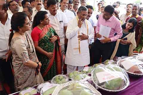 mango mela