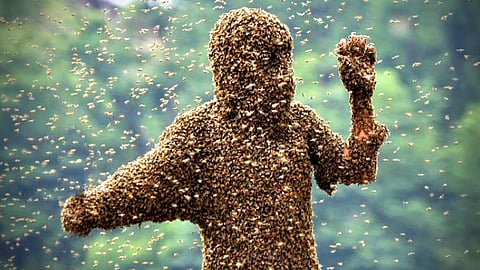 Victim of a bee attack