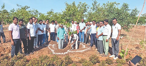 ಮುದ್ದೇಬಿಹಾಳ ತಾಲೂಕಿನ ಬಿದರಕುಂದಿ ಗುಡ್ಡದಲ್ಲಿರುವ ವೃಕ್ಷಮಾತೆ ಸಾಲು ಮರದ ತಿಮ್ಮಕ್ಕ ಉದ್ಯಾನವನದಲ್ಲಿ ಶನಿವಾರ ಗಿಡಗಳನ್ನು ನೆಟ್ಟು ನೀರೆರೆಯಲಾಯಿತು. ವಲಯ ಅರಣ್ಯಾಧಿಕಾರಿಗಳಾದ ಬಸನಗೌಡ ಬಿರಾದಾರ, ಗಿರೀಶ ಆಲಕುಡೆ, ಹಸಿರು ತೋರಣ ಬಳಗದ ಅಧ್ಯಕ್ಷ ಅಮರೇಶ ಗೂಳಿ ಮತ್ತಿತರರಿದ್ದರು.