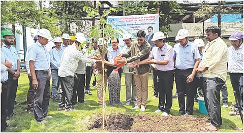 ಮುಧೋಳ ನಗರದ ನಿರಾಣಿ ಸಕ್ಕರೆ ಕಾರ್ಖಾನೆ ಅವರಣದಲ್ಲಿ ಸಸಿ ನಡೆಸಲಾಯಿತು. ಸಂಗಮೇಶ ನಿರಾಣಿ, ಸಂತೋಷ ಗಾಂವಕಾರ, ಜ್ಯೋತಿಕುಮಾರ, ಸಂಜಯಕುಮಾರ ಬಡಿಗೇರ, ಶಶಿಧರ ಸೊಪ್ಪಿನ, ಅನೀಲ ಹೂಗಾರ ಇದ್ದರು.