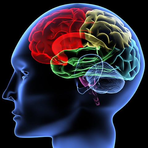 mind