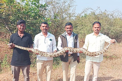ಹನುಮಸಾಗರದ ಸಪಪೂ ಕಾಲೇಜಿಗೆ ಕುಷ್ಟಗಿ ಸರ್ಕಾರಿ ಪದವಿ ಕಾಲೇಜಿನ ಉಪನ್ಯಾಸಕರ ತಂಡ ಭೇಟಿ ನೀಡಿ ಮಾಹಿತಿ ಒಳಗೊಂಡ ಕರಪತ್ರವನ್ನು ಉಪನ್ಯಾಸಕ ಲಕಪತಿ ರಾಠೋಡಗೆ ನೀಡಿತು. ಉಪನ್ಯಾಸಕರಾದ ಬೋಜರಾಜ್, ವಿಶ್ವನಾಥ ಕೋಳೂರ, ದುರುಗೇಶ, ಮಹಾಂತೇಶ ಗವಾರಿ, ನಿಂಗಪ್ಪ ಗೋಟೂರ ಉಪಸ್ಥಿತರಿದ್ದರು.