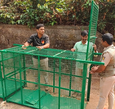   ಕದ್ರಿ ಕೈ ಬಟ್ಟಲ್ ಪರಿಸರದಲ್ಲಿ ಚಿರತೆ ಸೆರೆ ಹಿಡಿಯಲು ಅರಣ್ಯಾಧಿಕಾರಿಗಳು ಬೋನ್ ಇಟ್ಟಿದ್ದಾರೆ.