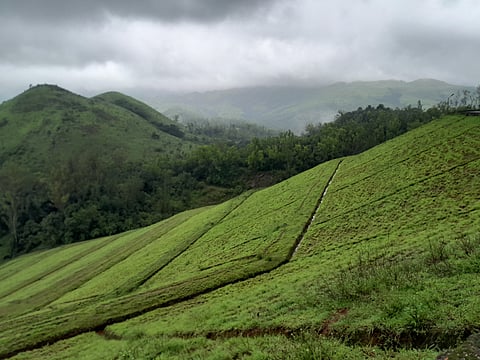 ಕುದುರೆಮುಖದ ಹಸಿರು ಹೊದಿಕೆಯ ಬೆಟ್ಟಗಳು ಕಣ್ಮನ ಸೆಳೆಯುತ್ತಿದೆ.