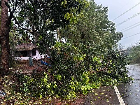  ಬೆಳ್ತಂಗಡಿಯ ಕೂಡೋಲುಕೆರೆ ಎಂಬಲ್ಲಿ ಭಾರಿ ಮಳೆಗೆ ರಸ್ತೆಗೆ ಮರ ಬಿದ್ದು ವಾಹನ ಸಂಚಾರಕ್ಕೆ ತೊಡಕುಂಟಾಯಿತು. 