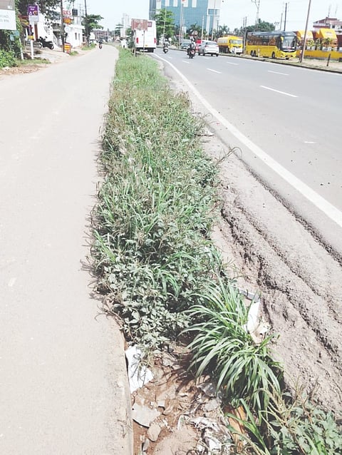 ಕೂಳೂರು ಸರ್ವಿಸ್ ರಸ್ತೆ ಹೆದ್ದಾರಿ ಮಧ್ಯೆ ಇರುವ ತೋಡು ಸಂಪೂರ್ಣವಾಗಿ ಪೊದೆಯಿಂದಾವೃತವಾಗಿದೆ.