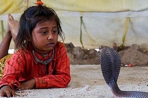 Snake Village