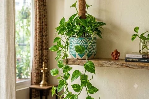  Vastu Tips ಸಾಂದರ್ಭಿಕ ಚಿತ್ರ