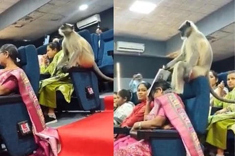 ಸಾಂದರ್ಭಿಕ ಚಿತ್ರ