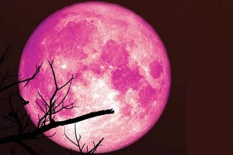 Strawberry Moon ಸಾಂದರ್ಭಿಕ ಚಿತ್ರ