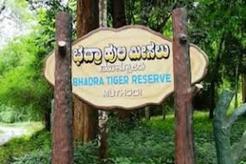 ಭದ್ರಾ ಅಭಯಾರಣ್ಯ