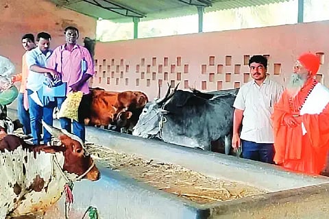 ಆನಗೋಡು ಹೋಬಳಿಯ ಹೆಬ್ಬಾಳು ಗ್ರಾಮದಲ್ಲಿ ಮಹಾಂತರುದ್ರೇಶ್ವರ ವಿರಕ್ತಮಠದ ಗೋಶಾಲೆಯ ಜಾನುವಾರಗಳಿಗೆ ಹೆಬ್ಬಾಳು ಪಶು ಚಿಕಿತ್ಸಾಲಯದಿಂದ ಕಾಲುಬಾಯಿ ಲಸಿಕಾ ಚುಚ್ಚುಮದ್ದು ನೀಡಲಾಯಿತು. ಡಾ. ಎನ್ ಮಂಜುನಾಥ್, ಜಿ.ಎಸ್. ನರೇಶ್ವರ್, ಟಿ.ಕೆ. ಲೋಕೇಶ್ವರ್, ಬಿ. ದ್ಯಾಮಪ್ಪ ಇದ್ದರು.