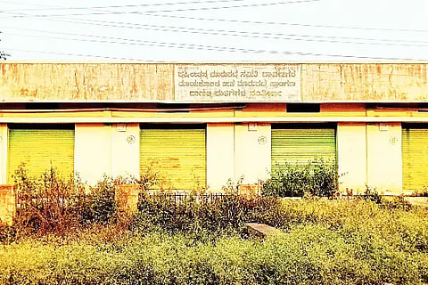 ಎಪಿಎಂಸಿ ಉಪ ಮಾರುಕಟ್ಟೆಯಲ್ಲಿನ ವ್ಯಾಪಾರ ಮಳಿಗೆಗಳು.