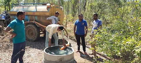 Migration of wild animals towards villages