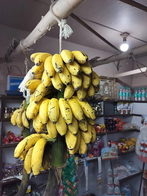 ನಂಜನಗೂಡು ರಸಬಾಳೆ