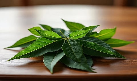 ಸಾಂದರ್ಭಿಕ ಚಿತ್ರ