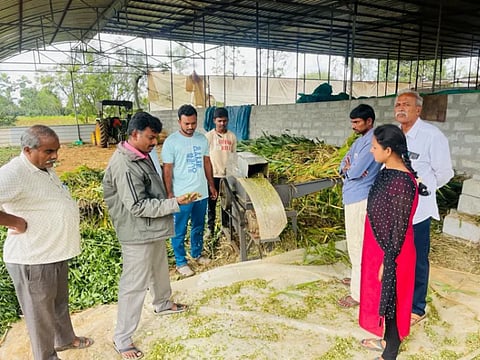 ರೈತ ಮಂಜುನಾಥ್ ತೋಟಕ್ಕೆ ಭೇಟಿ ನೀಡಿರುವ ಅಧಿಕಾರಿಗಳು ಕುರಿ ಸಾಕಣೆ ಮಾಹಿತಿ ಪಡೆದರು.