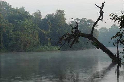 nethravathi river