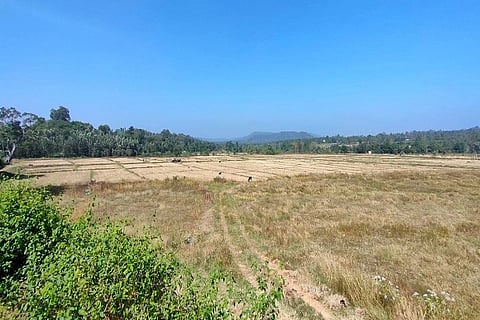 ಕುಶಾಲನಗರ ಬಳಿ ಮಿನಿ ವಿಮಾನ ನಿಲ್ದಾಣಕ್ಕೆ ಗುರುತಿಸಲಾಗಿರುವ ಜಾಗ
