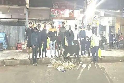 ಎನ್.ಆರ್.ಪುರದಲ್ಲಿ ಬಿಡಾಡಿ ಜಾನುವಾರುಗಳಿಗೆ ಬಿಜೆಪಿ ಯುವ ಮೋರ್ಚಾ ತಾಲೂಕು ಅಧ್ಯಕ್ಷ ಪ್ರೀತಂ ನೇತೃತ್ವದಲ್ಲಿ ರೇಡಿಯಂ ಕಾಲರ್ ಅಳವಡಿಸಲಾಯಿತು. ಸುರಭಿರಾಜೇಂದ್ರ, ದ್ವಾರಮಕ್ಕಿ ಅಶ್ವನ್, ಕೆ.ಟಿ.ಮಂಜುನಾಥ್, ಪ್ರಸಾದ್ ಇತರರಿದ್ದರು. 