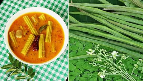 ನುಗ್ಗೆಕಾಯಿ ಆರೋಗ್ಯ ಲಾಭಗಳ ಬಗ್ಗೆ ಇರುವ ನಂಬಿಕೆಗಳು