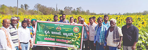 ಬ್ಯಾಡಗಿ ತಾಲೂಕಿನ ಬುಡುಪನಹಳ್ಳಿ ಗ್ರಾಮದಲ್ಲಿ ರಾಷ್ಟ್ರೀಯ ಖಾದ್ಯ ಅಭಿಯಾನ-ಎಣ್ಣೆ ಕಾಳು (oilseeds)ಯೋಜನೆಯಡಿ ಸೂರ್ಯಕಾಂತಿ ಹಾಗೂ ಶೇಂಗಾ ಬೆಳೆಯ ರೈತರಿಗೆ ತರಬೇತಿ ಕಾರ್ಯಕ್ರಮ ಜರುಗಿತು. 