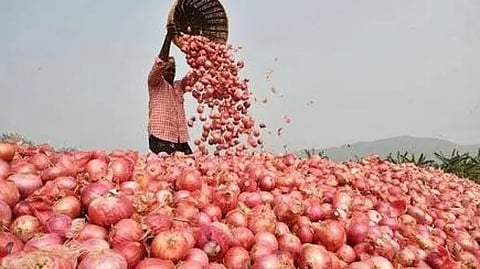 onion price